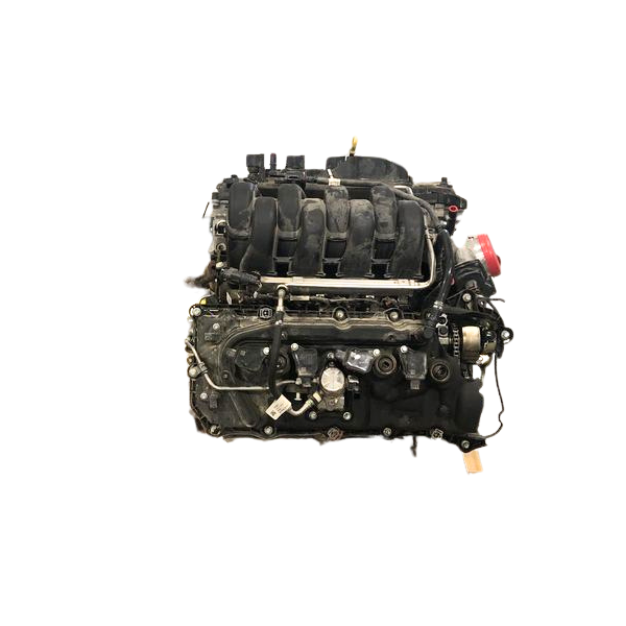 Moteurs Ford F-150 5.0L 2021–2024 (opt 5, sans inverter, essence)
