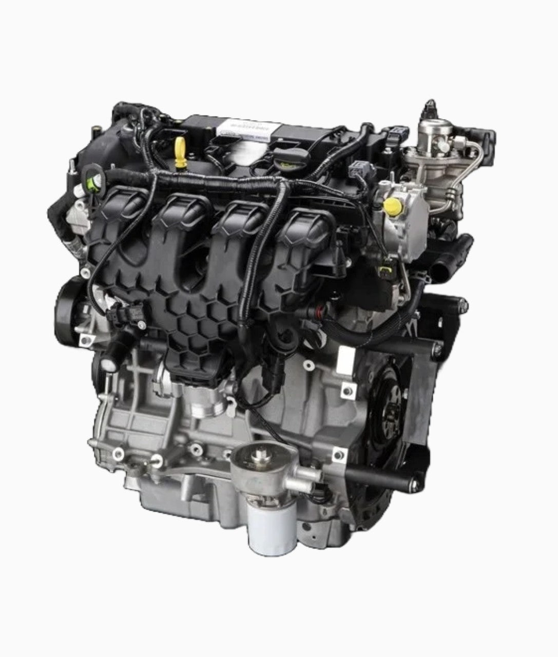 Ford focus 2.0L EcoBoost engines 2014 to 2019