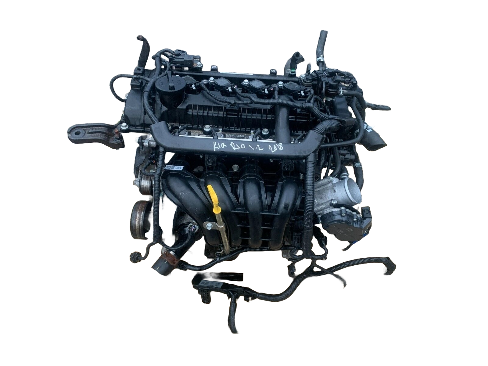 KIA Rio 1.6 Liter Engine (2020 - 2021)